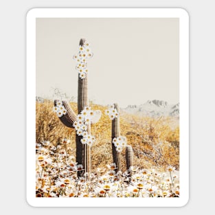 Cactus in desert with beautiful flowers boho Art Sticker